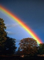 Rainbow in the horizon